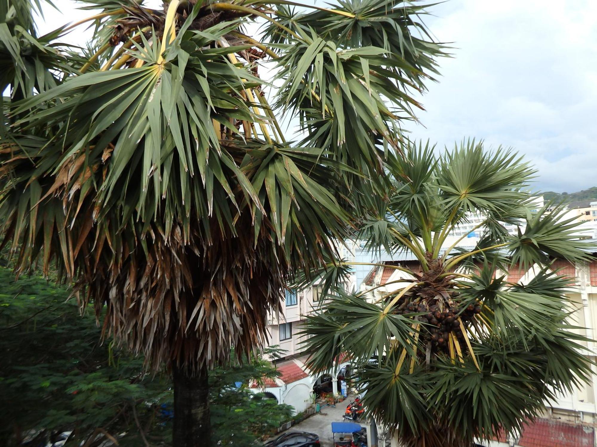 Boomerang Inn Phuket Exterior foto